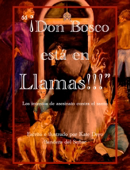 "¡Don Bosco está en Llamas!!!" - Kate Deyo