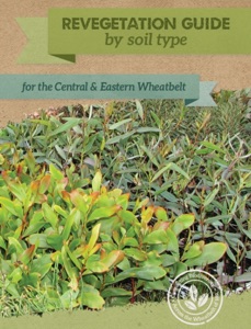 Revegetation Guide by Soil Type