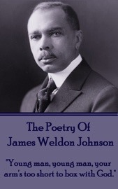 The Poetry Of James Weldon Johnson - James Weldon Johnson