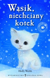 Wąsik niechciany kotek