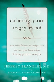 Calming Your Angry Mind - Jeffrey Brantley