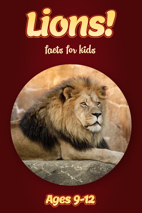 Lion Facts For Kids 9-12