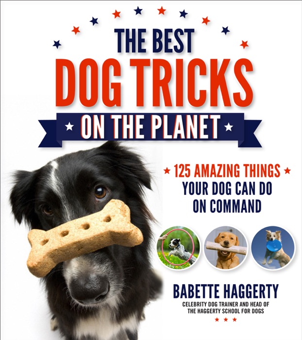 The Best Dog Tricks on the Planet