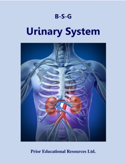 Urinary System by Roger Prior