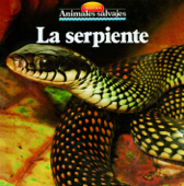 La serpiente - Equipo Parramón