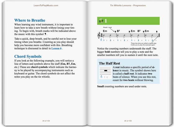 ‎Tin Whistle Lessons for Beginners on Apple Books