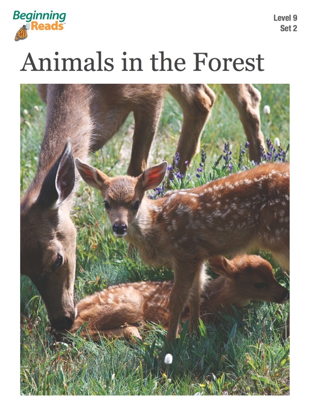 BeginningReads 9-2 Animals in the Forest