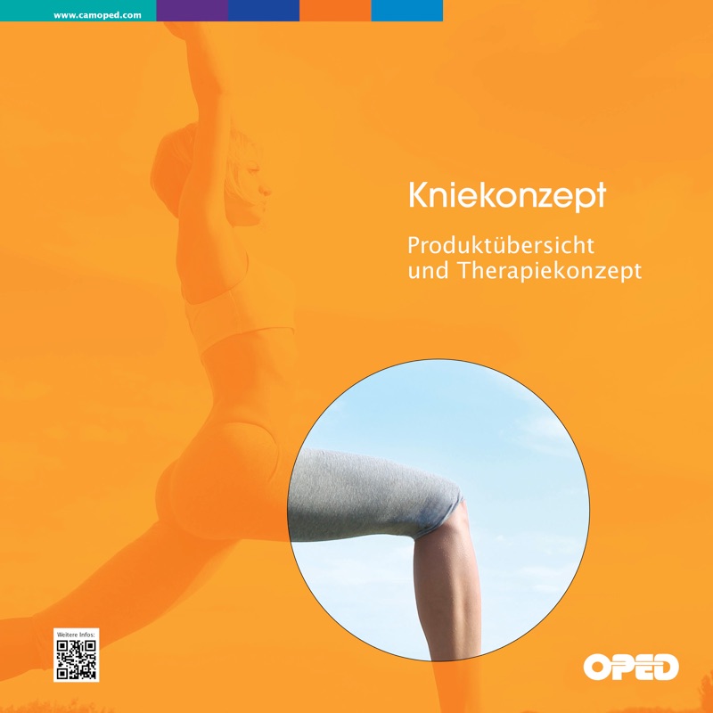 Kniekonzept