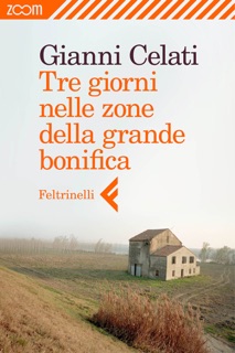 Tre giorni nelle zone della grande bonifica by Gianni Celati