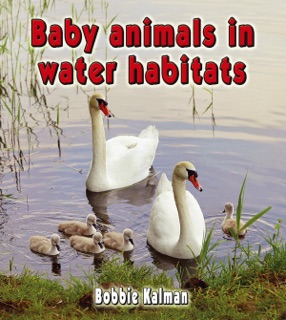 Baby animals in water habitats by Bobbie Kalman