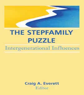 Read: The Book Stepfamily Puzzle
