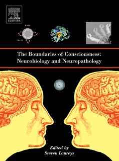 The Boundaries of Consciousness: Neurobiology and Neuropathology by Steven Laureys