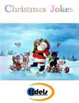 Christmas Jokes