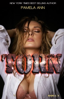 The Torn Series Bundle by Pamela Ann