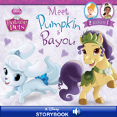 Palace Pets: Meet Pumpkin and Bayou - Disney Book Group