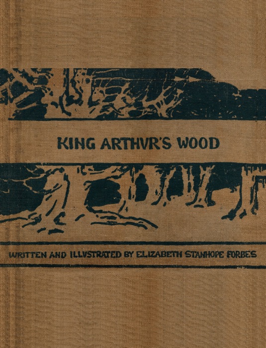 King Arthur's Wood