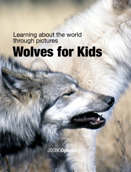 Wolves for Kids