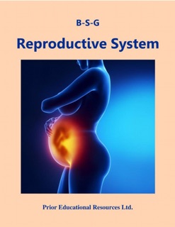 Reproductive System by Roger Prior