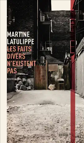 Read: Les faits divers Book n'existent pas