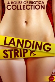 Landing Strip - Erin Pim, Megan Hussey, Megan Morgan, H.L. Lola & Anna Sky
