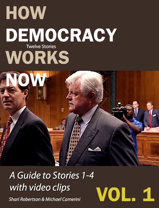 How Democracy Works Now: Twelve Stories Volume 1