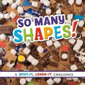 Spot It, Learn It!: So Many Shapes!