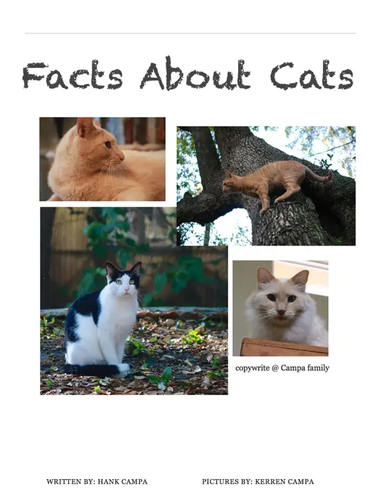 Facts About Cats