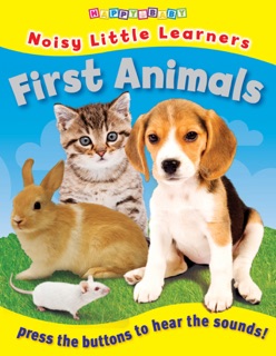 First Animals by Igloo Books Ltd