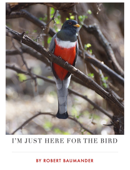 I'm Just Here for the Bird