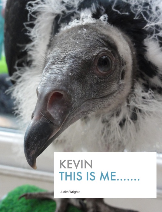 Kevin This Is Me