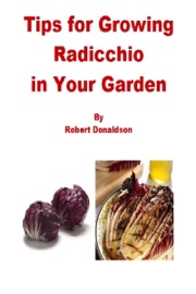 Tips for Growing Radicchio in Your Garden - Robert Donaldson