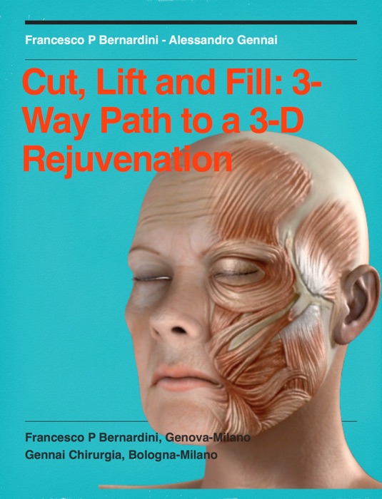 Cut, Lift and Fill: 3-Way Path to a 3-D Rejuvenation
