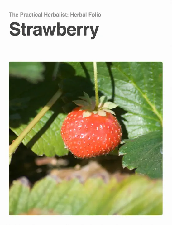 The Practical Herbalist: Herbal Folio