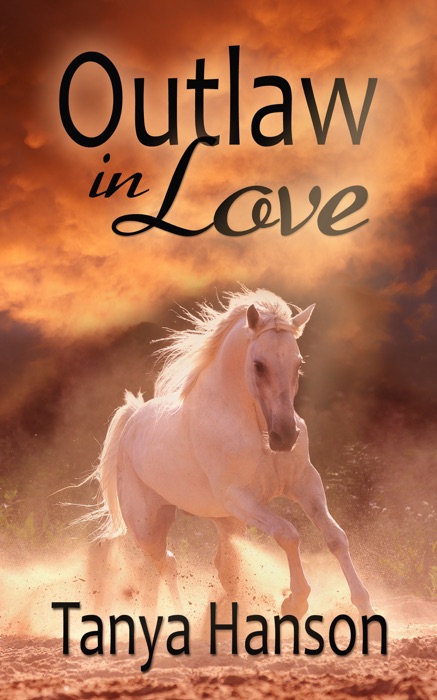 Outlaw in Love