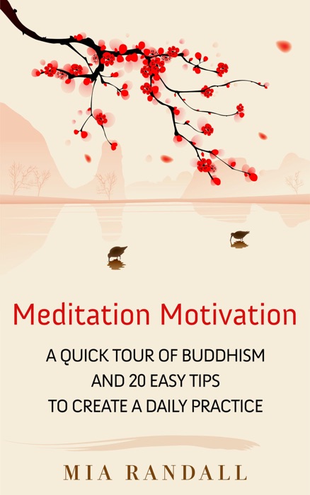 Meditation Motivation - A Quick Tour of Buddhism and 20 Easy Tips to Create a Daily Practice