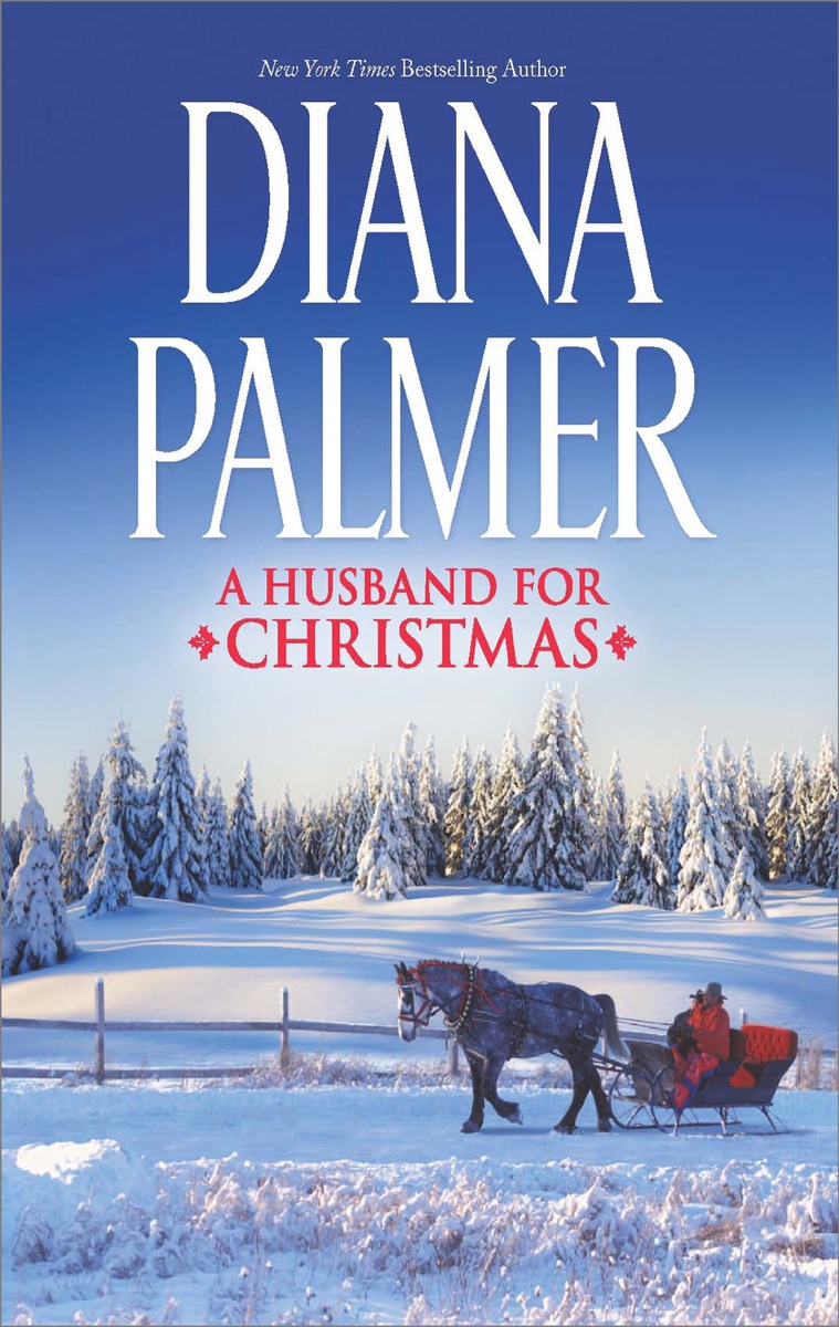 Husband for Christmas cover