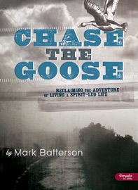 Chase the Goose - Mark Batterson