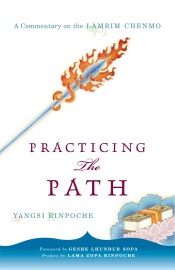 Practicing the Path - Yangsi, Lhundub Sopa, Thubten Zopa, Tsering Tuladhar & Miranda Adams