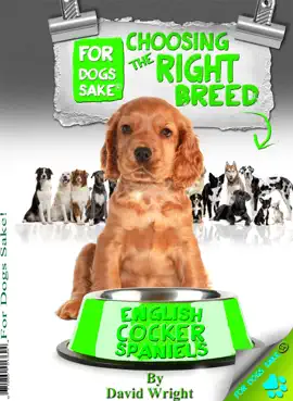 Read: Book Choosing the Right Breed - English Cocker Spaniels