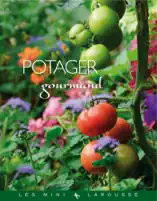 Potager gourmand