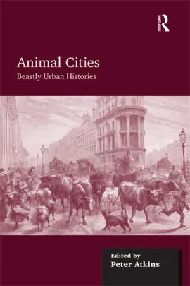 Read: Animal Book Cities