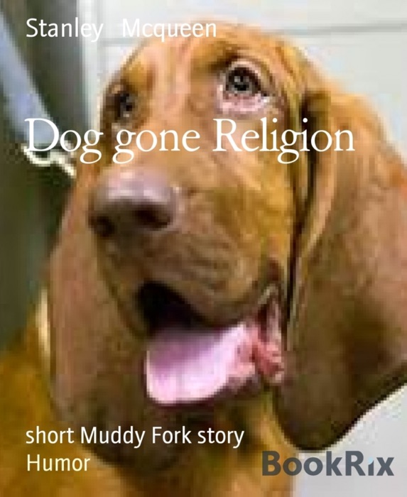 Dead Dog Religion