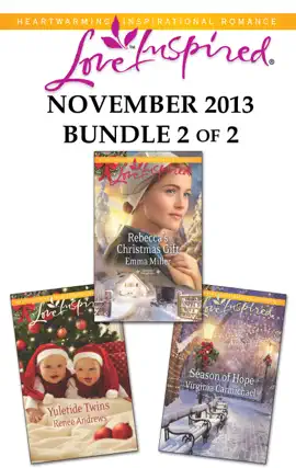 Read: Love Inspired November 2013 - Bundle 2 Book of 2