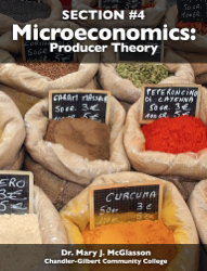 Microeconomics: Producer Theory