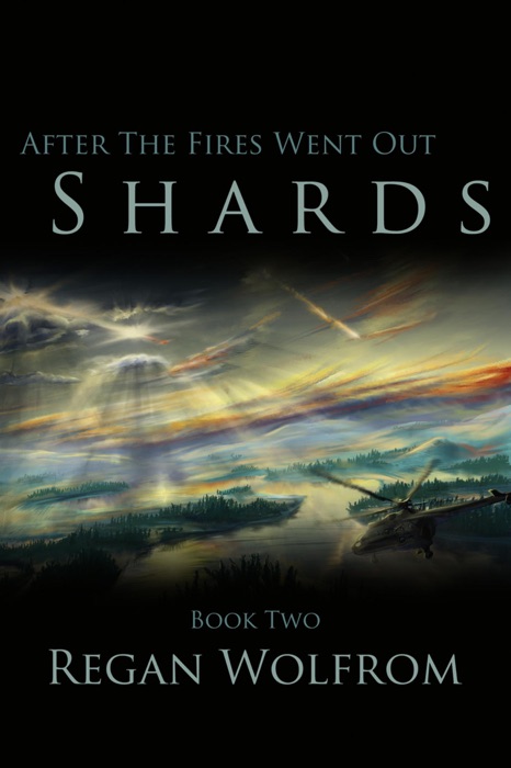 After the Fires Went Out: Shards