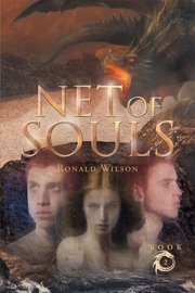 Net of Souls The Complete Adventures of Skipp and Wes Mason Book 2 - Ronald Wilson
