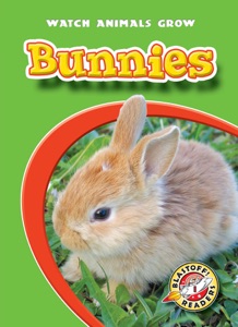 SuperProfile profile picture for @bunnies