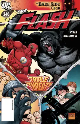 Read: The Book Flash (1987-2008) #240