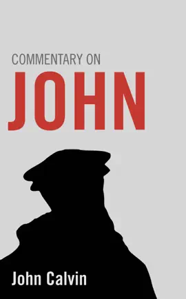 Read: Book Commentary on John