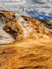 Book Pictures from Yellowstone National Park
